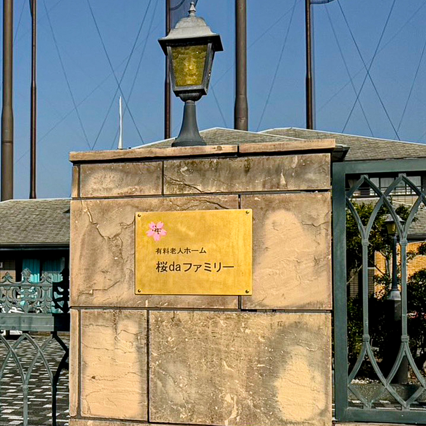 桜daファミリー